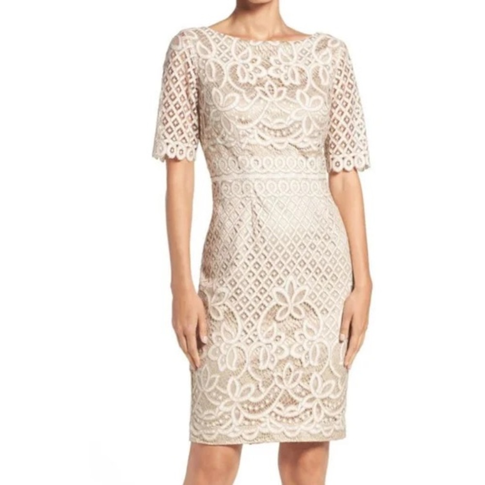 Eliza J Lace Sheath Dress Cocktail Party Wedding Guest Elegant Formal 10P